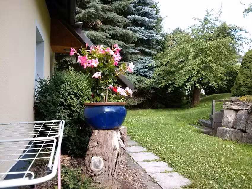 Ferienhaus Vattrodt