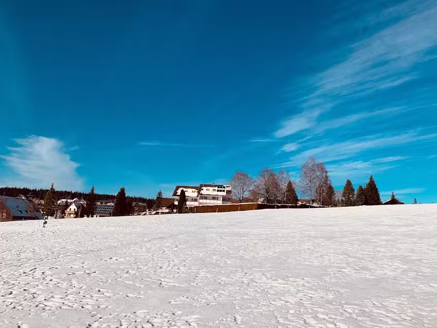 Ferienhaus Waldblick