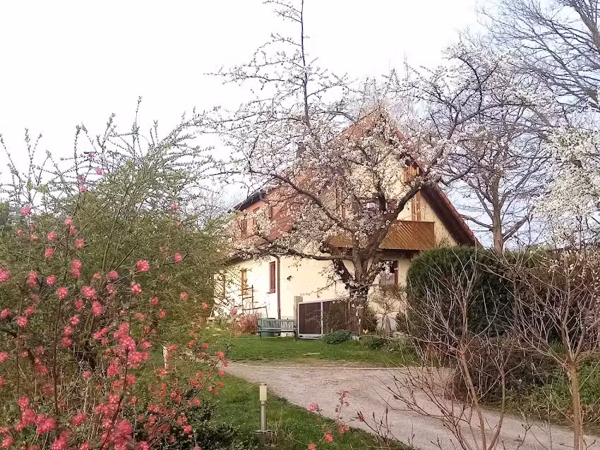 Ferienhaus Waldblick