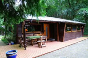 Ferienhaus Waldhaus Bellen