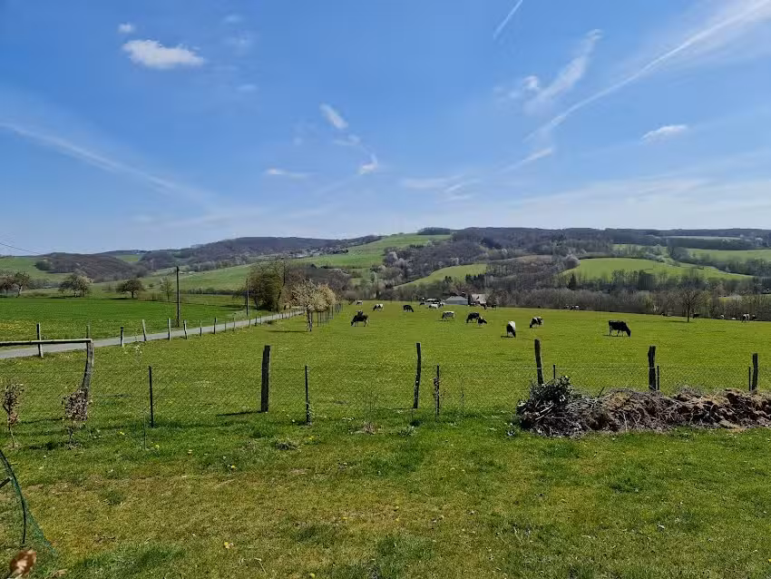 Ferienhaus Westerwaldblick