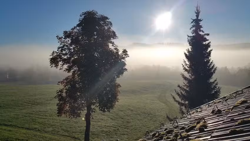 Ferienhaus Wiesenruh