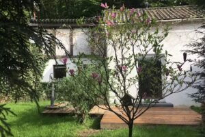 Ferienhaus Wilms