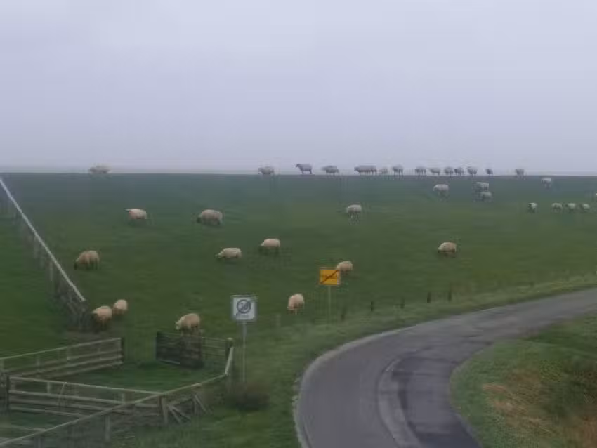 Ferienhäuser Biernat