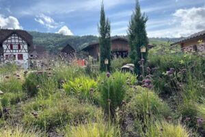 Ferienhäuser Binzighof