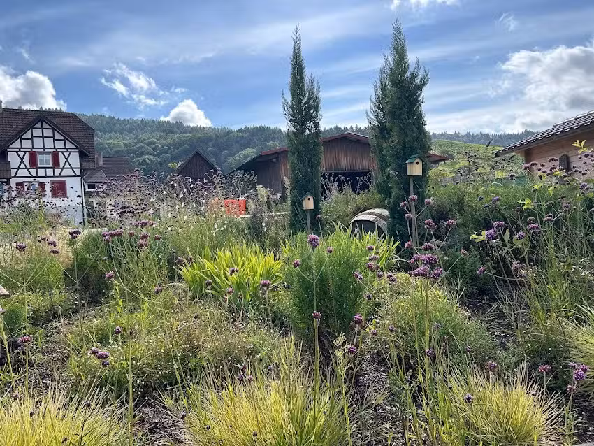 Ferienh&auml;user Binzighof