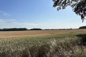 Ferienh&auml;user Luv & Lee &ndash; Enno Brandenburg