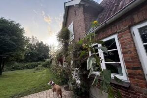 Ferienhof – Birkenhof 2