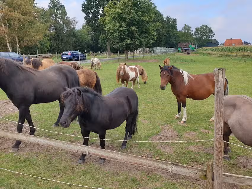ferienhof carstens