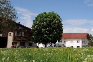 Ferienhof Hopfgaertle M&uuml;ller