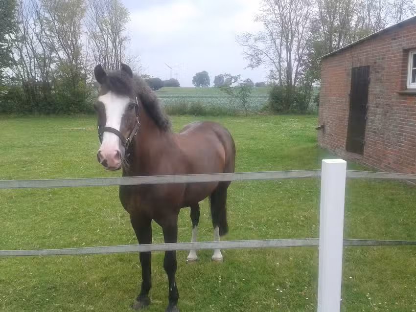 Ferienhof Krohn &ndash; G&uuml;de Krohn