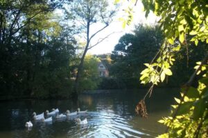 Ferienhof Reckziegel