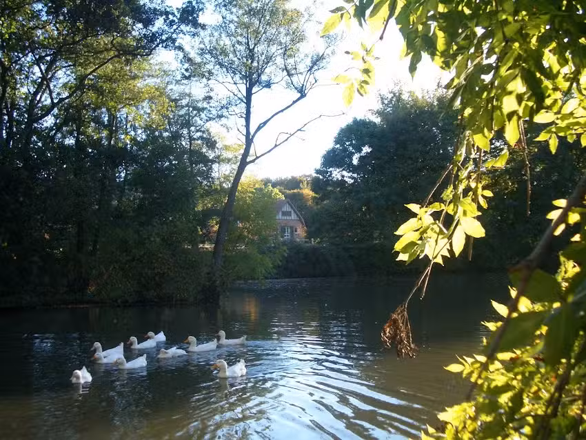 Ferienhof Reckziegel