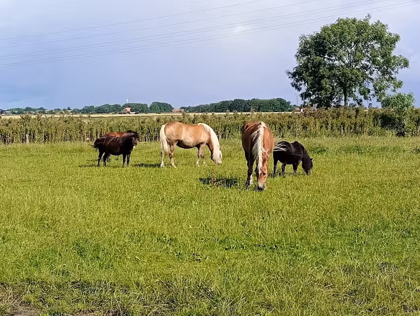 Ferienhof &bdquo;Remmershof&ldquo;