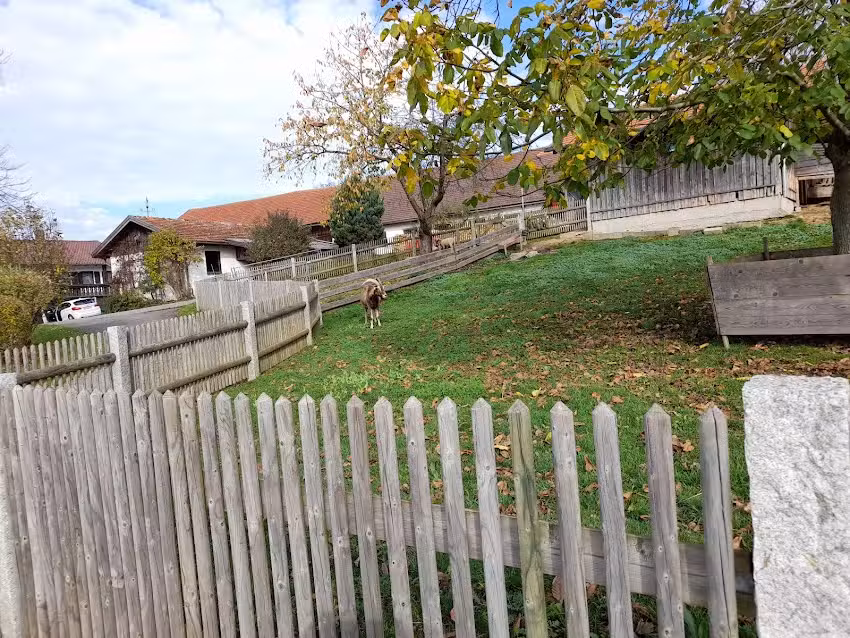 Ferienhof Santl