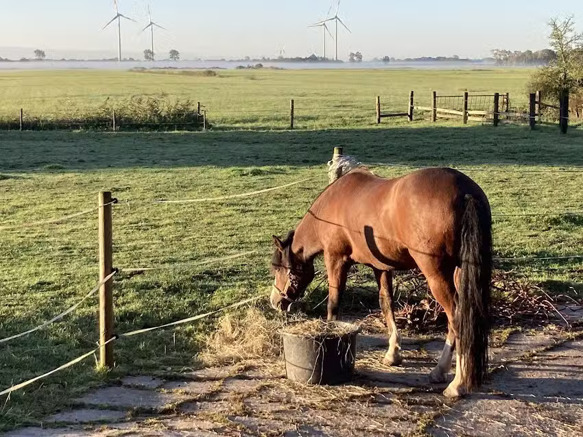 Ferienhotel Zimmermann