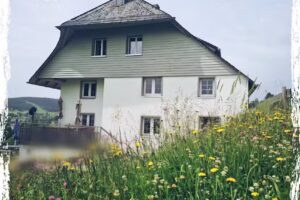 Ferienhütte Dörflinger