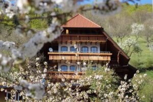 Ferienparadies Fai&szlig;t