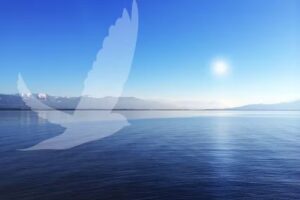Ferienwohnung 1 | see-sucht – ferien am bodensee
