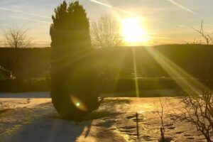 Ferienwohnung Altes Forsthaus