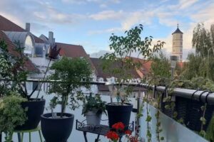 Ferienwohnung Altstadtflair