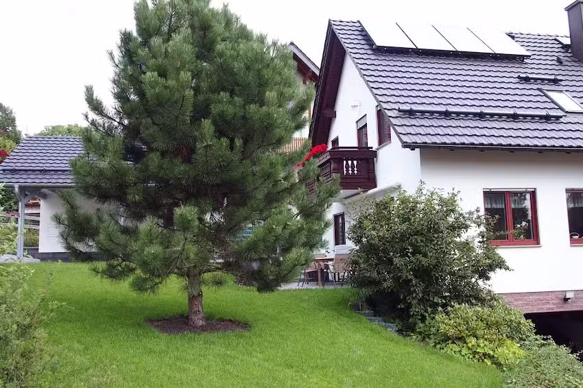 Ferienwohnung am Domberg