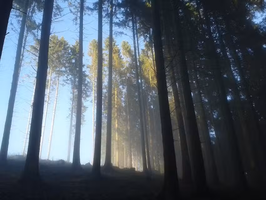 Ferienwohnung Am Patenberg