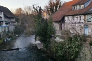 Ferienwohnung am Rhein