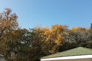Ferienwohnung Am Schlosspark