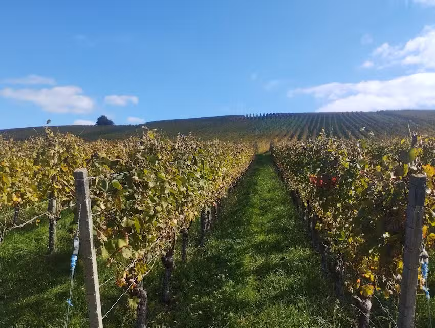 Ferienwohnung am Storchennest
