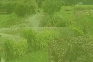 Ferienwohnung Am Thierberg