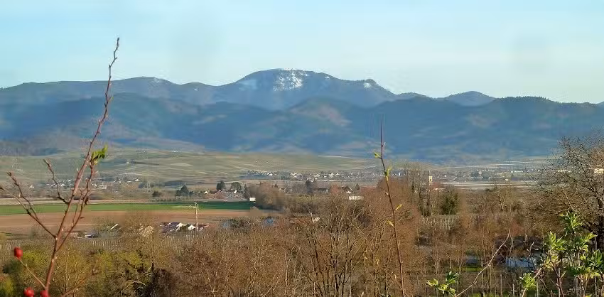 Ferienwohnung am Tuniberg
