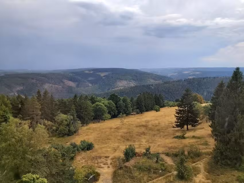 Ferienwohnung Andy Langzettel