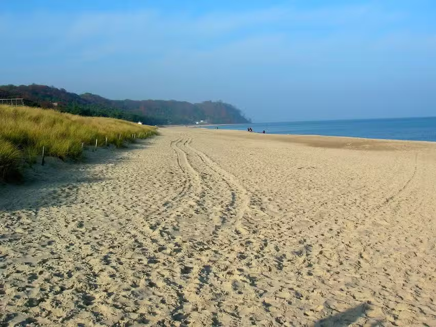 Ferienwohnung &bdquo;Appartement Lachm&ouml;we&ldquo;