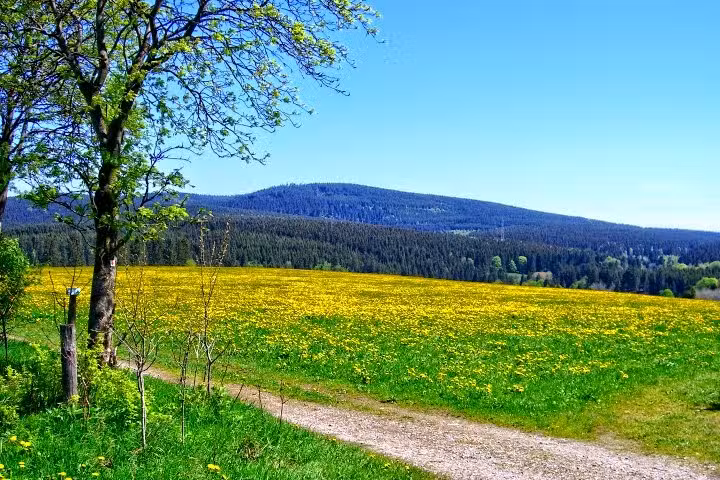 Ferienwohnung Auf der H&ouml;he