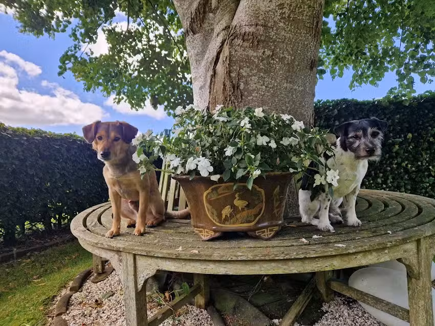 Ferienwohnung-Ausacker