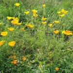 Ferienwohnung Ausblick