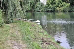 Ferienwohnung „Avelina“