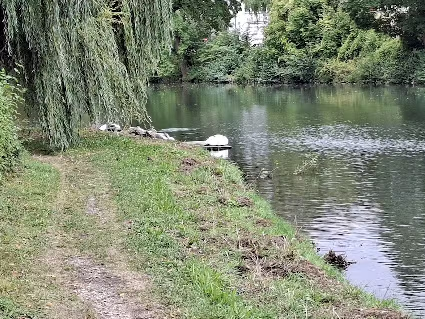 Ferienwohnung &bdquo;Avelina&ldquo;