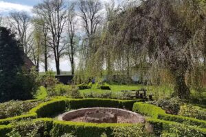 Ferienwohnung „Barockbuche“