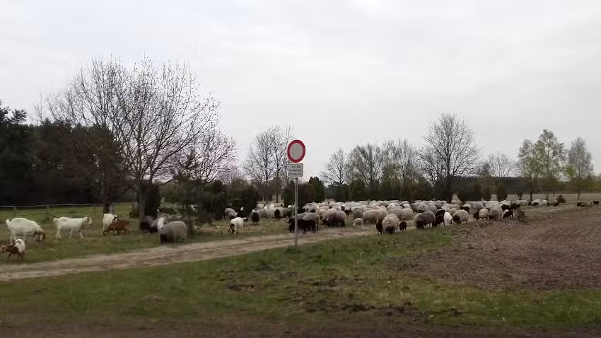 Ferienwohnung B&auml;tge