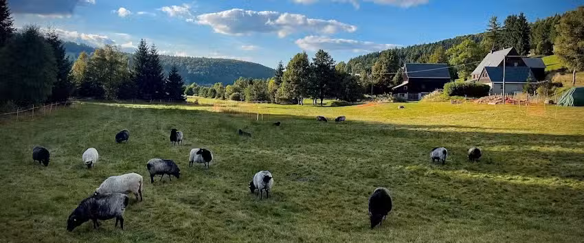 Ferienwohnung & Bauernhoferlebnis WildLife H&ouml;lzel
