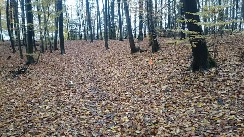Ferienwohnung Bernd