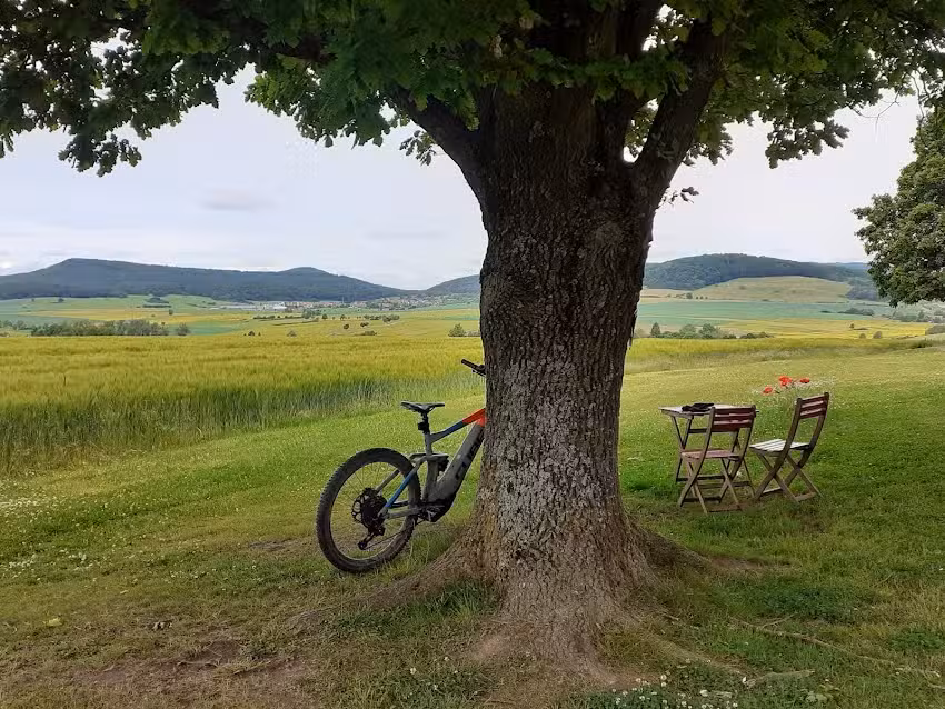 Ferienwohnung Bey Pechthold