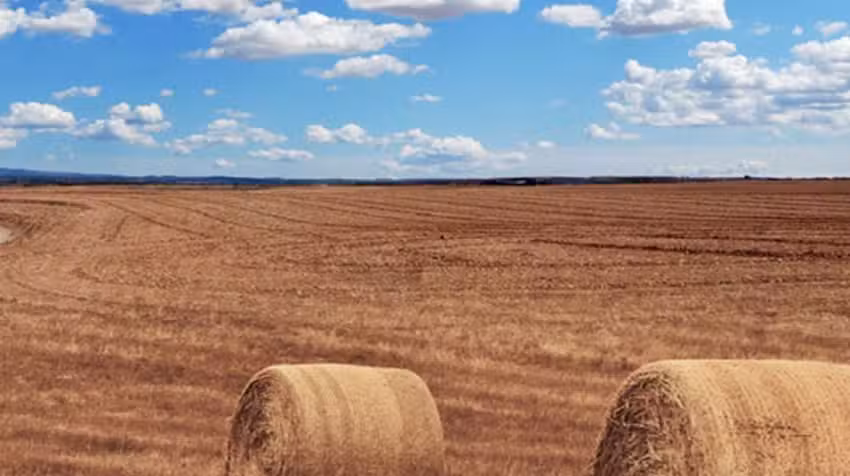 Ferienwohnung Blank in Selm