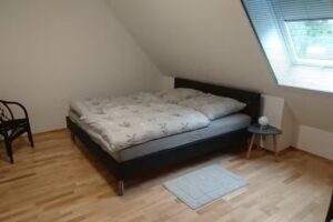 Ferienwohnung Blick auf die Wallachherde