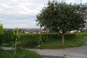 Ferienwohnung Brand-Ziegenhorn