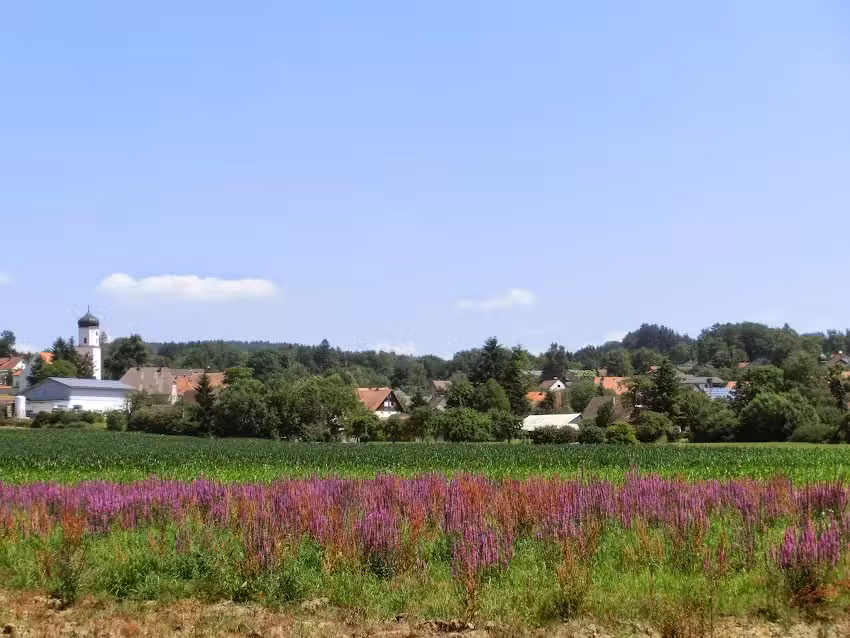 Ferienwohnung Brändle