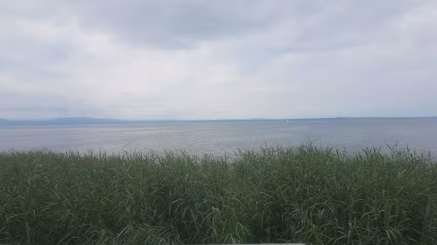 Ferienwohnung &bdquo;Cara&ldquo;