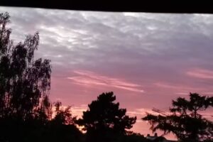 Ferienwohnung Dachkoje